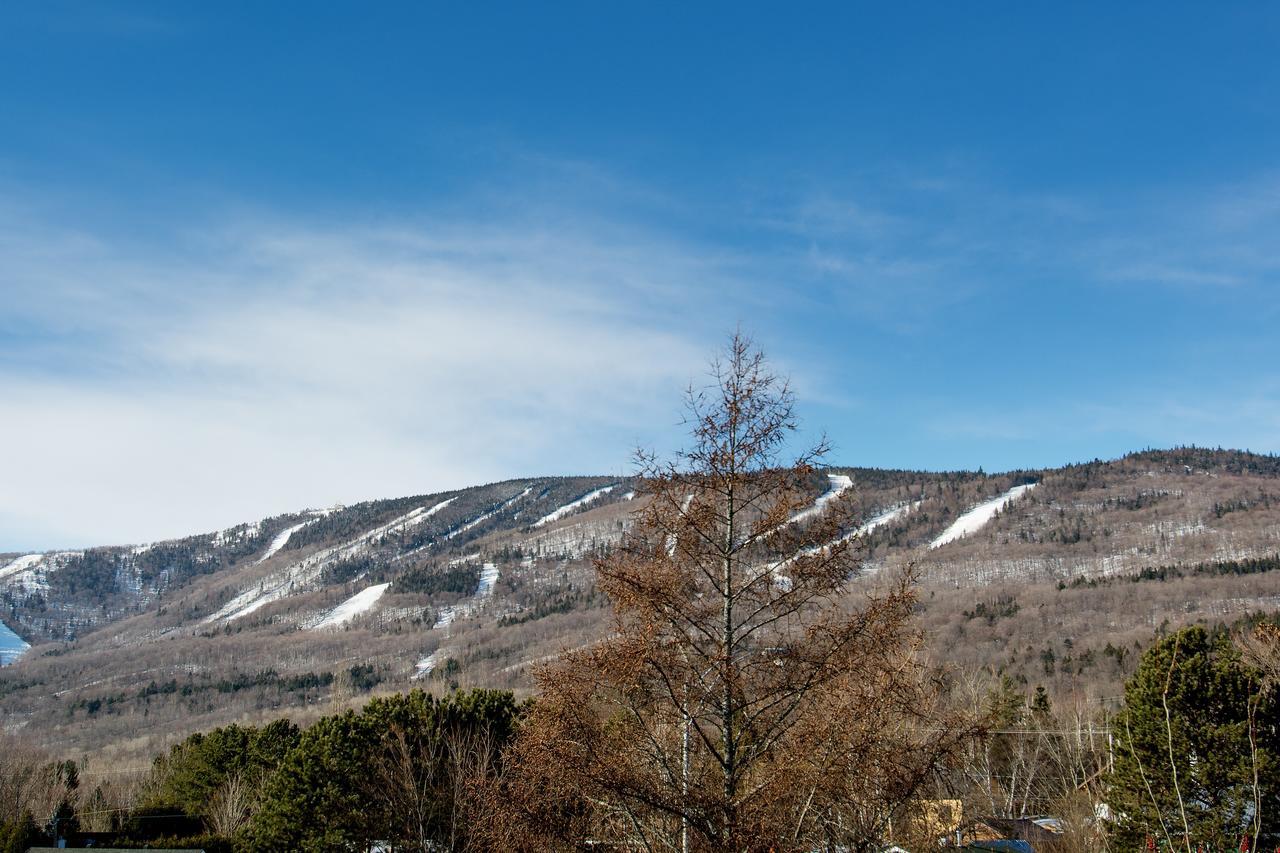 Le Vallon Saint-Ferreol-les-Neiges Εξωτερικό φωτογραφία